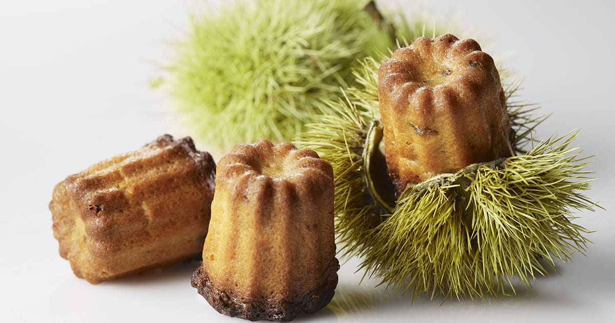 Recette CannelÃ©s ardÃ©chois | Sabaton.fr